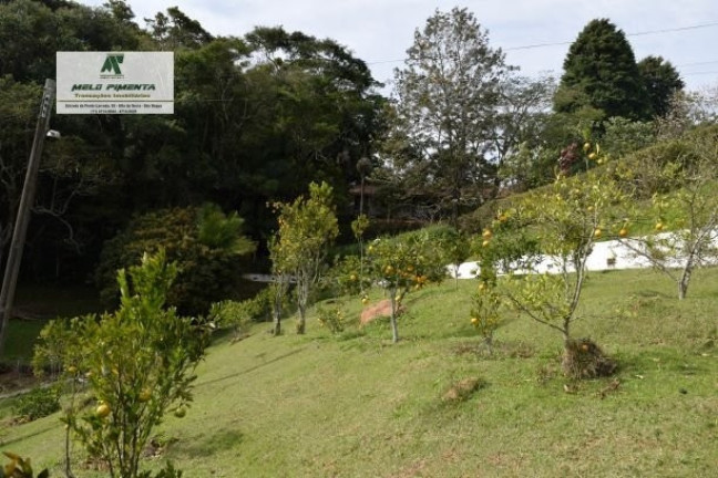 Imagem Chácara com 5 Quartos à Venda, 21.000 m² em Mailasqui - São Roque