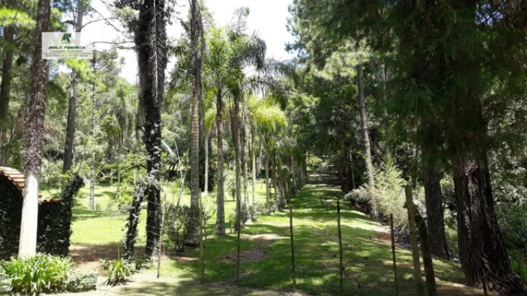 Imagem Fazenda à Venda, 38.000 m² em Sorocamirim - São Roque