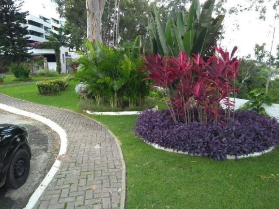Imagem Apartamento com 4 Quartos à Venda, 200 m² em Macaxeira - Recife