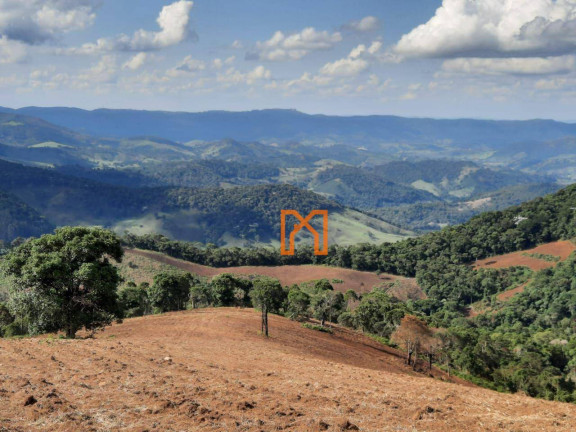 Imagem Fazenda à Venda, 800.000 m² em Zona Rural - Jesuânia