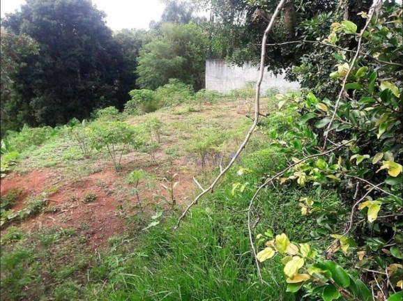 Foto do imóvel Terreno à Venda, 3 m² em Parque Rincão - Cotia