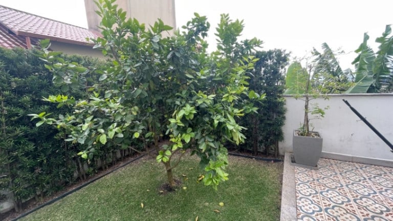 Foto do imóvel Apartamento com 4 Quartos à Venda, 240 m² em Canasvieiras - Florianópolis