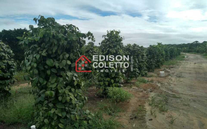 Imagem Fazenda à Venda, 6.000.000 m² em Centro - Itamaraju