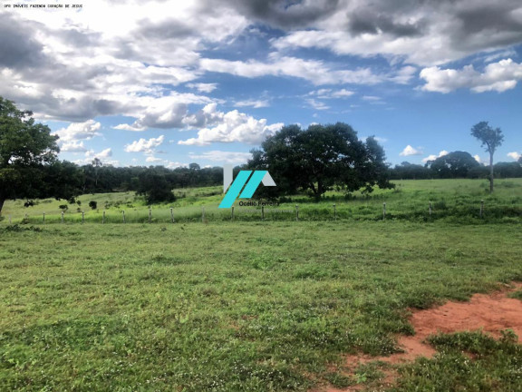 Imagem Fazenda à Venda, 480 m² em Zona Rural - Coração De Jesus