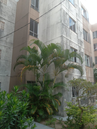 Imagem Apartamento com 2 Quartos à Venda, 42 m² em Fazenda Grande Iv - Salvador