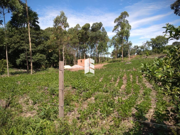 Imagem Fazenda à Venda, 15.000 m² em Etelvina - Itaara