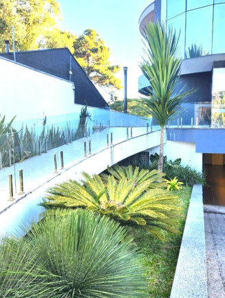 Imagem Casa com 4 Quartos à Venda, 751 m² em Jardim Social - Curitiba
