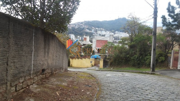 Imagem Imóvel à Venda, 229 m² em Trindade - Florianópolis