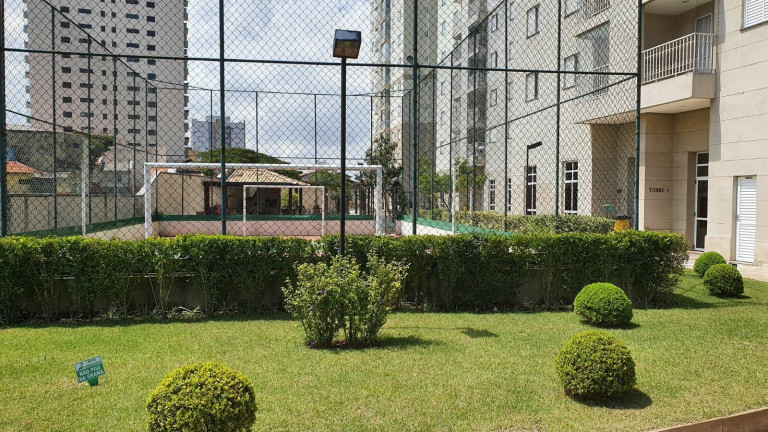 Imagem Apartamento com 3 Quartos à Venda, 76 m² em Vila Helena - Santo André