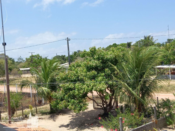 Imagem Fazenda à Venda, 1.600 m² em Imirizal - Salvaterra
