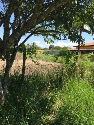 Foto do imóvel Terreno à Venda, 2.000 m² em Pedro Leme - Roseira
