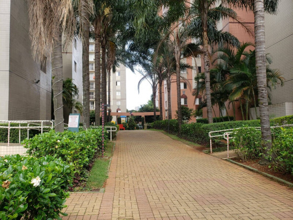 Foto do imóvel Apartamento com 3 Quartos à Venda, 65 m² em Cambuci - São Paulo