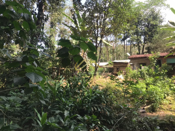 Foto do imóvel Terreno à Venda, 32 m² em Horto Florestal - Ubatuba