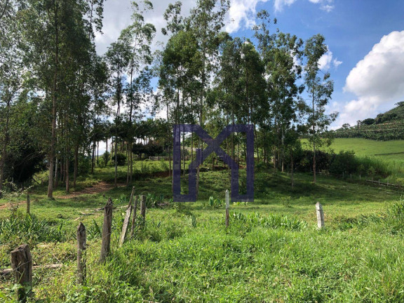 Imagem Fazenda à Venda, 359.300 m² em Zona Rural - Pedralva