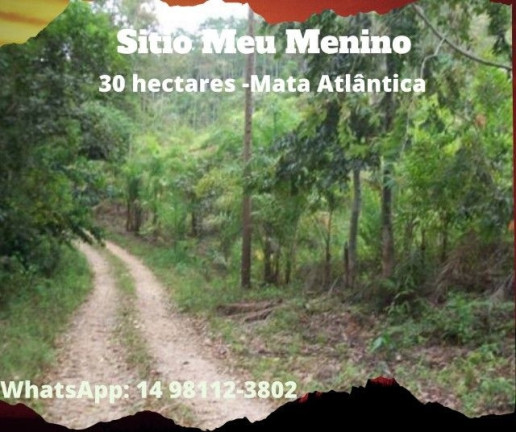 Foto do imóvel Chácara à Venda, 300.000 m² em Vila Fritiano - Jacupiranga