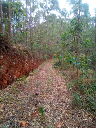 Foto do imóvel Terreno à Venda, 1 m² em Parque Santo Antônio - Jacareí