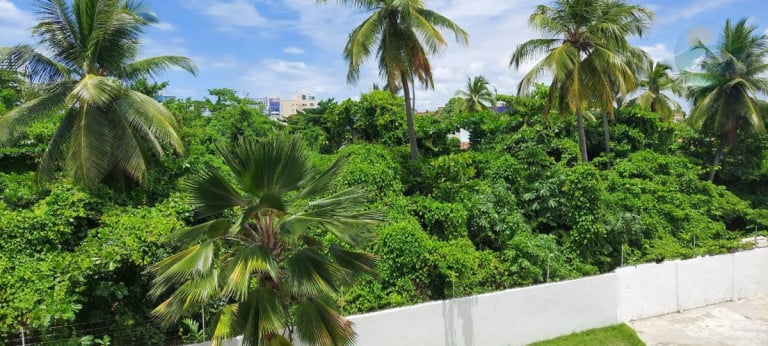 Foto do imóvel Apartamento com 3 Quartos à Venda, 113 m² em Piedade - Jaboatão Dos Guararapes