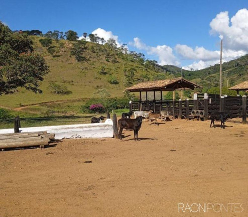 Imagem Fazenda à Venda, 3.200.000 m² em Zona Rural - Sabinópolis
