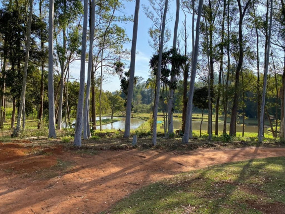 Imagem Fazenda à Venda, 1 m² em Zona Rural - Torrinha
