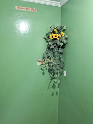 Foto do imóvel Apartamento com 2 Quartos à Venda, 55 m² em Jardim Umuarama - São Paulo