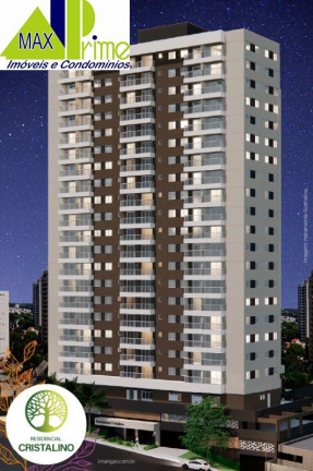 Imagem Apartamento com 2 Quartos à Venda, 40 m² em Parque Das Paineiras - São Paulo
