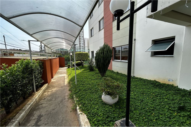 Imagem Apartamento com 3 Quartos à Venda, 56 m² em Lauzane Paulista - São Paulo