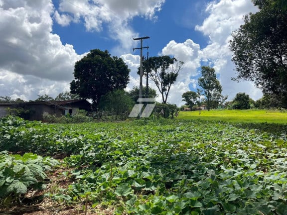 Foto do imóvel Casa à Venda, 39.922 m² em Cascavel