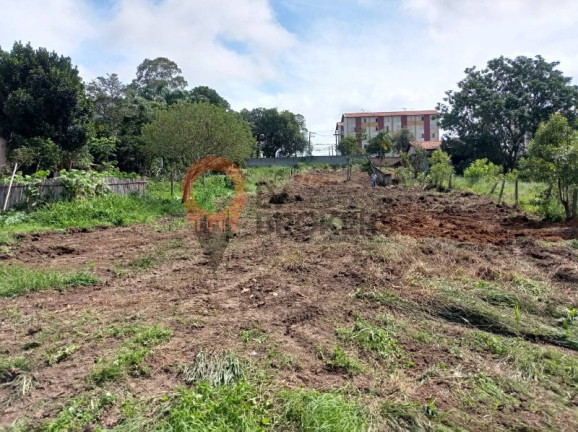 Foto do imóvel Terreno à Venda, 3.000 m² em Vila Nova Aparecida - Mogi Das Cruzes