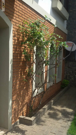 Foto do imóvel Sobrado com 3 Quartos à Venda, 231 m² em Jardim Da Glória - São Paulo