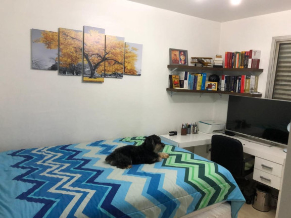 Foto do imóvel Apartamento com 1 Quarto à Venda, 38 m² em Cambuci - São Paulo