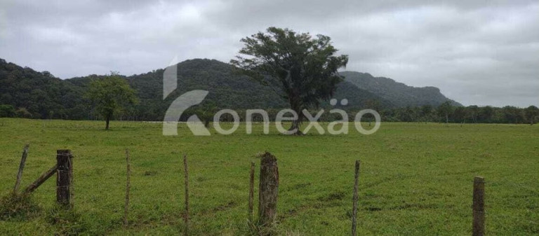 Foto do imóvel Fazenda à Venda, 90 m² em Braço Grande - Miracatu
