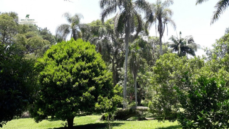 Imagem Chácara com 4 Quartos à Venda, 19.000 m² em Bairro Do Carmo - São Roque