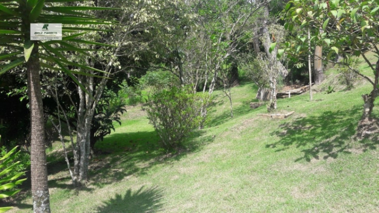Imagem Chácara com 3 Quartos à Venda, 18.000 m² em Mailasqui - São Roque