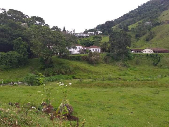 Imagem Fazenda à Venda, 8.000 m² em Centro - Trajano De Morais