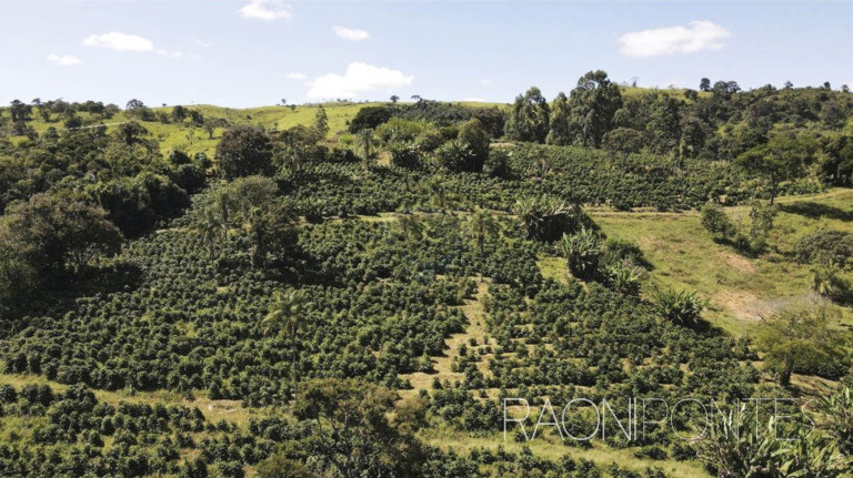 Imagem Fazenda à Venda, 484.000 m² em Zona Rural - Caconde