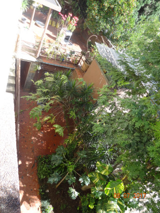 Imagem Sobrado com 3 Quartos à Venda, 600 m² em Alto Da Lapa - São Paulo