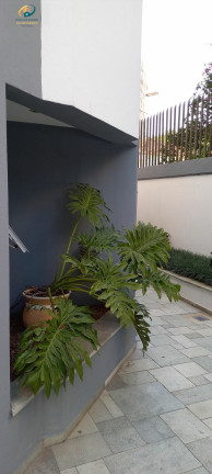 Imagem Apartamento com 2 Quartos para Alugar, 54 m² em Vila Guarani (z Sul) - São Paulo