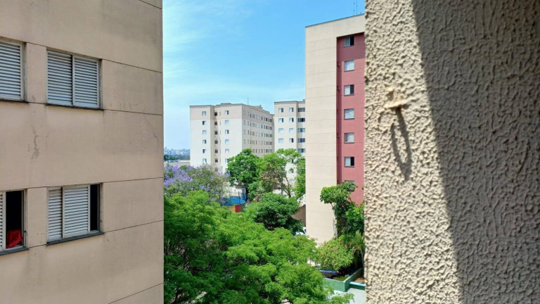 Foto do imóvel Apartamento com 3 Quartos à Venda,  em Jardim Santa Emília - São Paulo