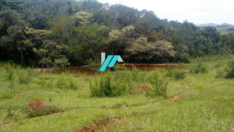 Imagem Terreno à Venda, 130.000 m² em Zona Rural - Carmópolis De Minas