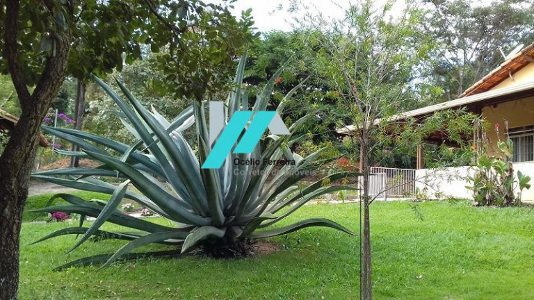 Imagem Fazenda à Venda, 3.700 m² em Serra Negra - Betim