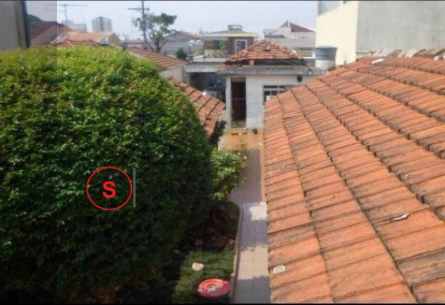 Imagem Casa com 3 Quartos à Venda, 200 m² em Vila Lúcia - São Paulo