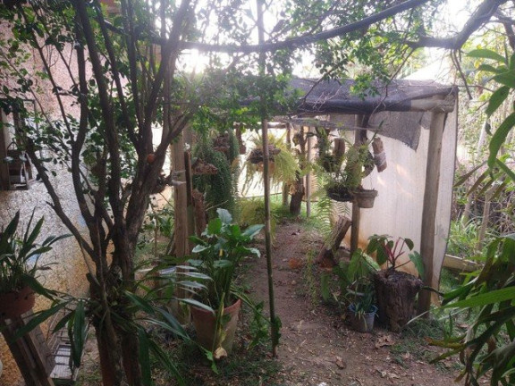 Imagem Fazenda à Venda, 3.000 m² em Jardim Santa Luzia - Guaratinguetá