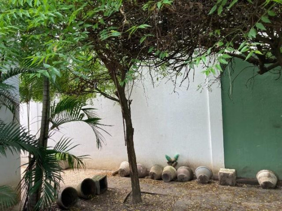 Imagem Casa com 4 Quartos à Venda, 165 m² em Horto - Teresina