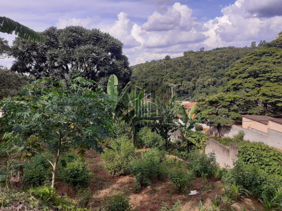 Imagem Imóvel com 4 Quartos à Venda, 3.500 m² em Parque Jaguari (fazendinha) - Santana De Parnaíba