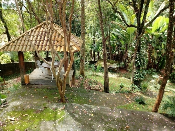 Imagem Chácara com 3 Quartos à Venda, 3.000 m² em Apolinário - Mairiporã
