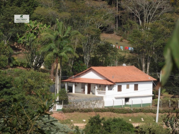 Imagem Chácara com 3 Quartos à Venda, 5.000 m² em Mailasqui - São Roque