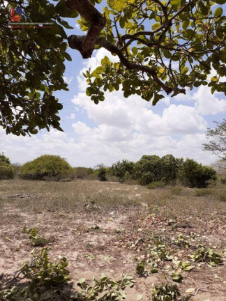 Imagem Fazenda à Venda, 50.000 m² em Centro - João Câmara