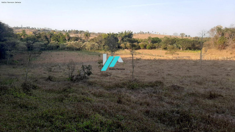 Imagem Fazenda à Venda, 7 m² em Zona Rural - Florestal