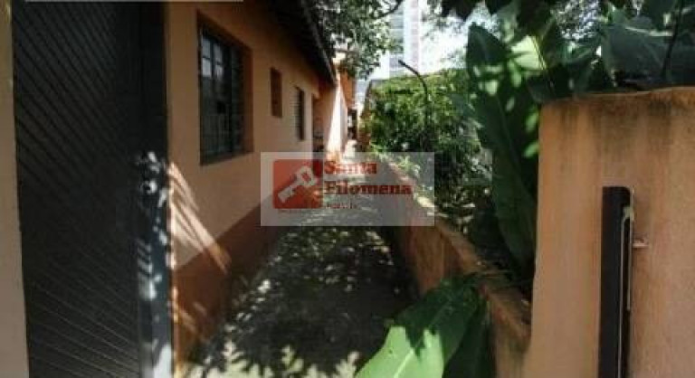 Foto do imóvel Terreno à Venda, 185 m² em Vila Curuçá - Santo André