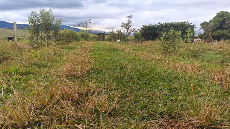 Foto do imóvel Fazenda à Venda, 100 m² em Estiva - Taubaté